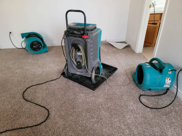 Best Flood restoration services  in Santa Clara, CA