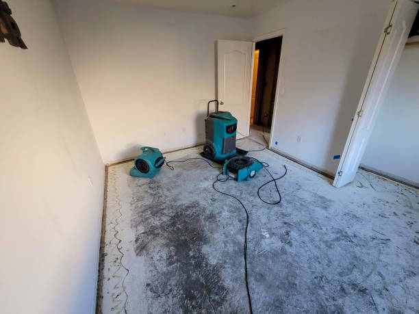 Best Water damage cleanup near me  in Santa Clara, CA