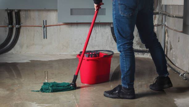Best Mold removal after water damage  in Santa Clara, CA
