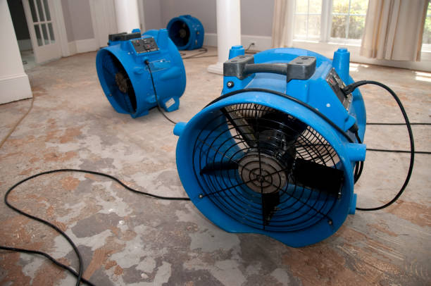 Best Professional water damage repair  in Santa Clara, CA