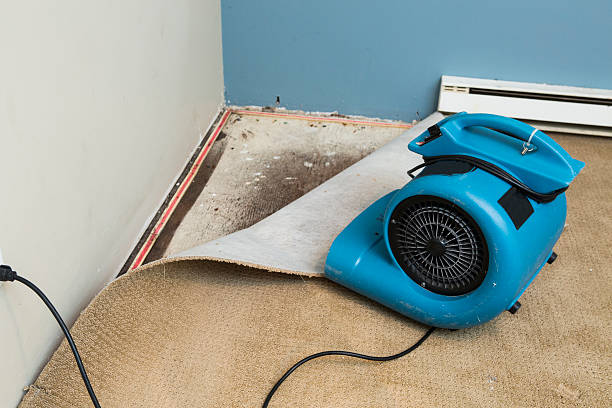 Best Carpet water damage restoration  in Santa Clara, CA